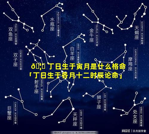 🦄 丁日生于寅月是什么格命「丁日生于各月十二时辰论命」